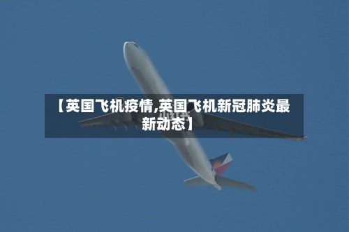 【英国飞机疫情,英国飞机新冠肺炎最新动态】-第2张图片
