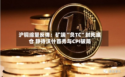 沪铜缩量反弹：矿端“负TC”封死底仓 静待沃什首秀与CPI破局-第2张图片