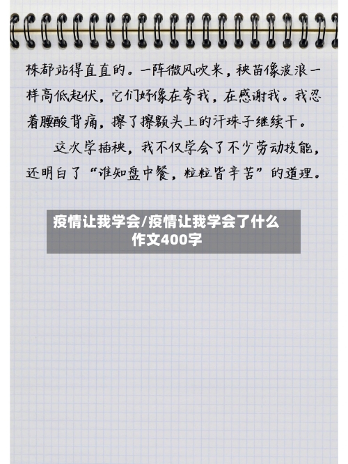 疫情让我学会/疫情让我学会了什么作文400字-第3张图片