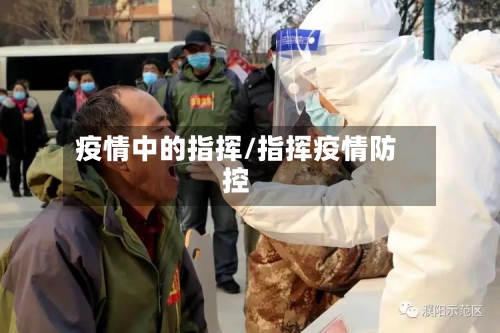 疫情中的指挥/指挥疫情防控