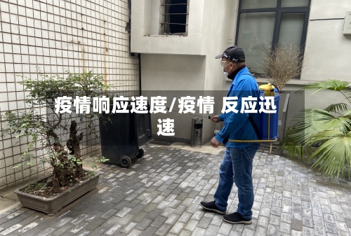 疫情响应速度/疫情 反应迅速-第2张图片