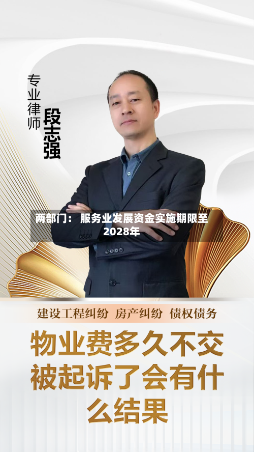 两部门: 服务业发展资金实施期限至2028年-第3张图片