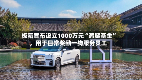 极氪宣布设立1000万元“鸡腿基金	”，用于日常奖励一线服务员工-第2张图片