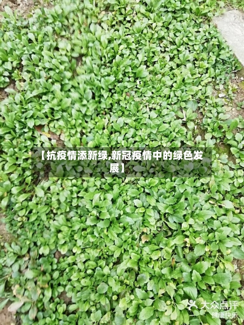 【抗疫情添新绿,新冠疫情中的绿色发展】