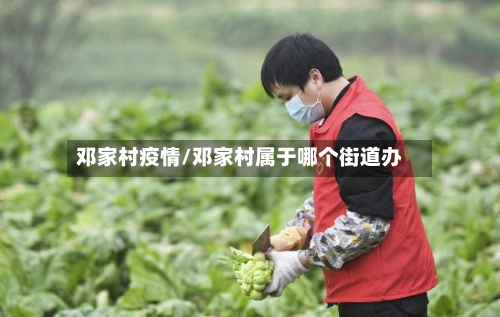 邓家村疫情/邓家村属于哪个街道办-第3张图片