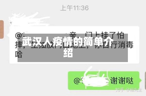 武汉人疫情的简单介绍-第3张图片