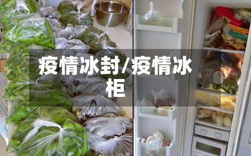疫情冰封/疫情冰柜-第3张图片