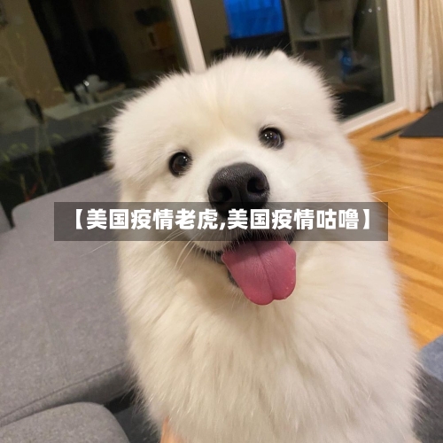 【美国疫情老虎,美国疫情咕噜】