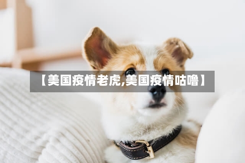 【美国疫情老虎,美国疫情咕噜】-第2张图片
