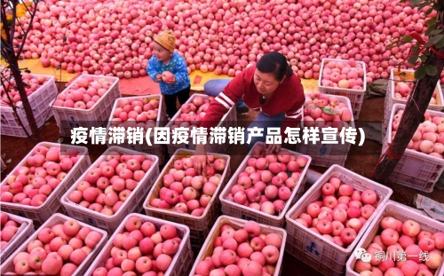 疫情滞销(因疫情滞销产品怎样宣传)