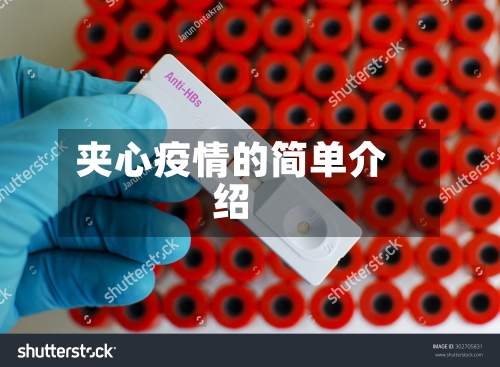 夹心疫情的简单介绍-第2张图片