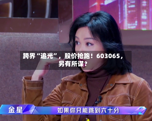 跨界“追光”，股价抢跑！603065	，另有所谋？-第2张图片