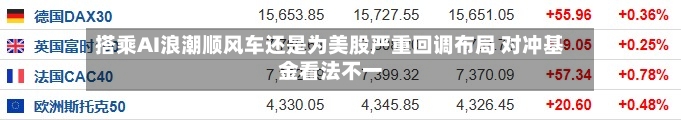 搭乘AI浪潮顺风车还是为美股严重回调布局 对冲基金看法不一-第2张图片