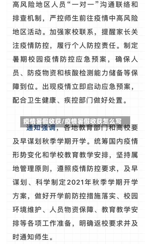 疫情暑假收获/疫情暑假收获怎么写-第2张图片