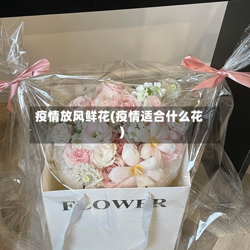 疫情放风鲜花(疫情适合什么花)