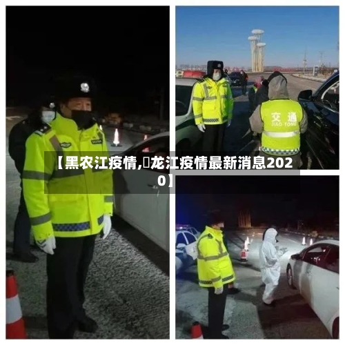 【黑农江疫情,黒龙江疫情最新消息2020】-第3张图片