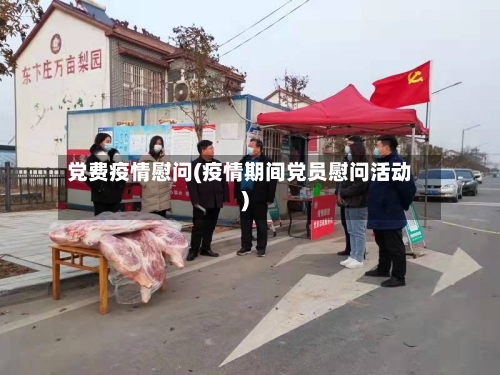 党费疫情慰问(疫情期间党员慰问活动)-第3张图片