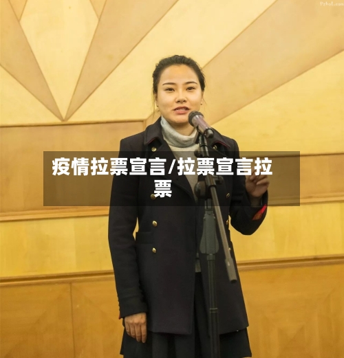 疫情拉票宣言/拉票宣言拉票-第2张图片