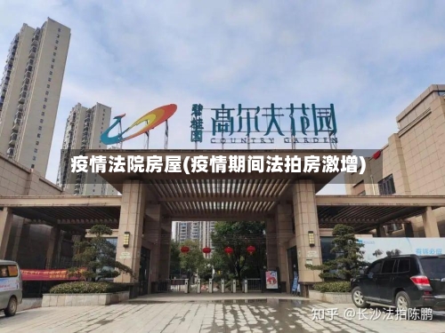 疫情法院房屋(疫情期间法拍房激增)