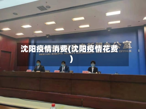 沈阳疫情消费(沈阳疫情花费)