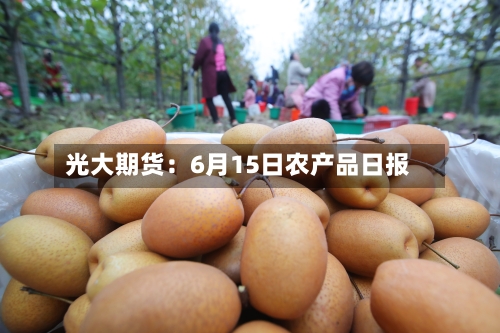 光大期货：6月15日农产品日报-第2张图片
