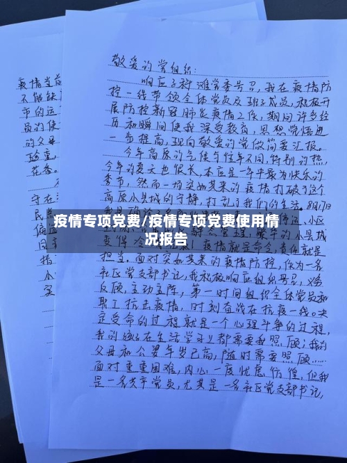 疫情专项党费/疫情专项党费使用情况报告