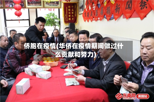 侨胞在疫情(华侨在疫情期间做过什么贡献和努力)-第2张图片