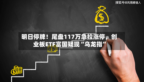 明日停牌！尾盘117万急拉涨停，创业板ETF富国疑现“乌龙指	”-第2张图片