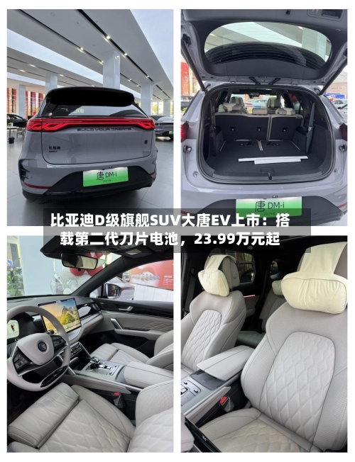 比亚迪D级旗舰SUV大唐EV上市：搭载第二代刀片电池，23.99万元起-第2张图片