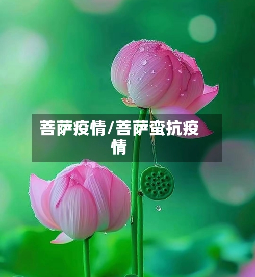 菩萨疫情/菩萨蛮抗疫情