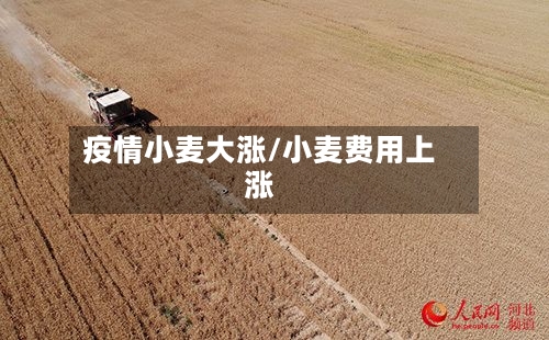疫情小麦大涨/小麦费用上涨