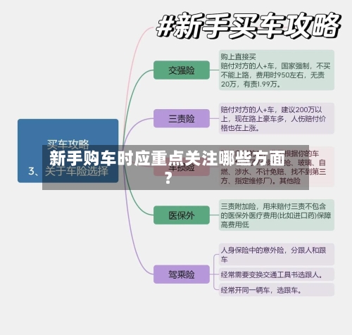 新手购车时应重点关注哪些方面？-第2张图片