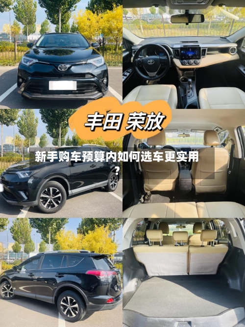 新手购车预算内如何选车更实用？-第2张图片
