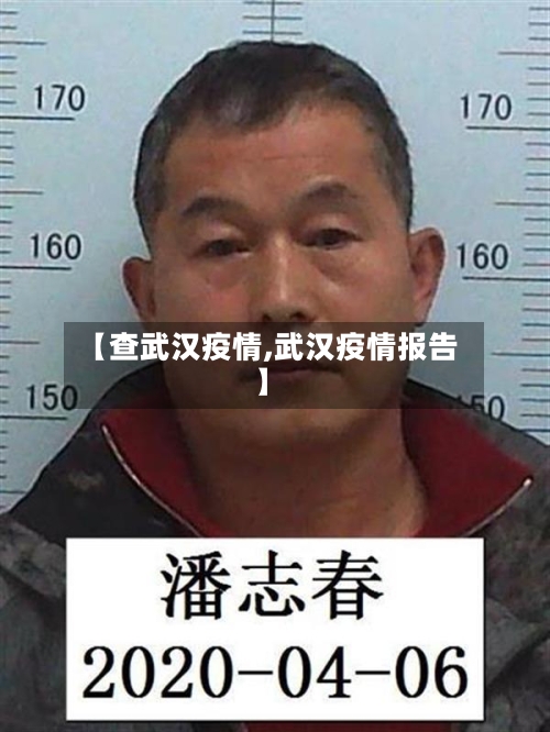 【查武汉疫情,武汉疫情报告】-第3张图片