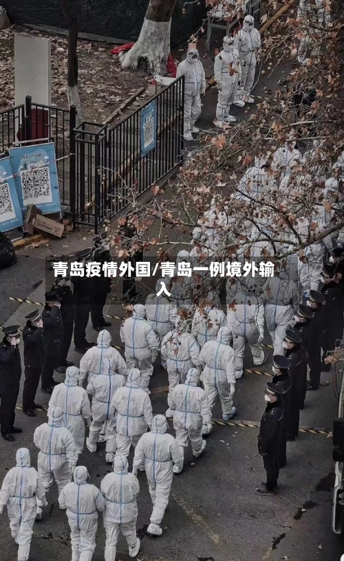 青岛疫情外国/青岛一例境外输入-第3张图片