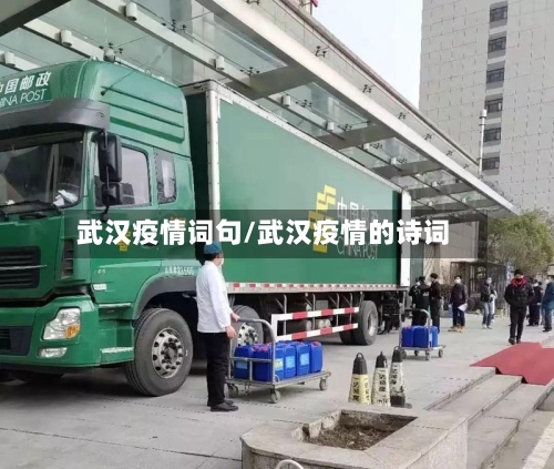 武汉疫情词句/武汉疫情的诗词