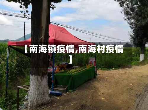 【南海镇疫情,南海村疫情】-第3张图片