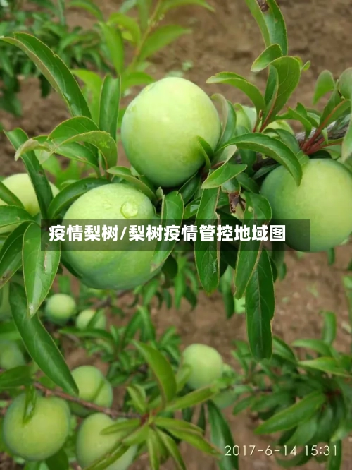 疫情梨树/梨树疫情管控地域图