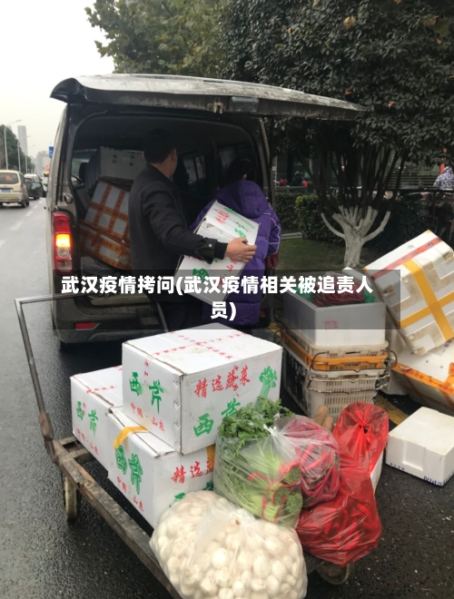 武汉疫情拷问(武汉疫情相关被追责人员)