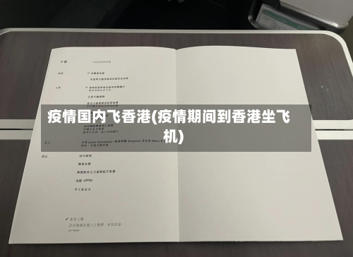 疫情国内飞香港(疫情期间到香港坐飞机)