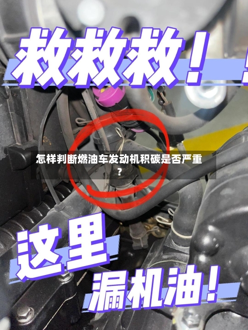 怎样判断燃油车发动机积碳是否严重？-第2张图片