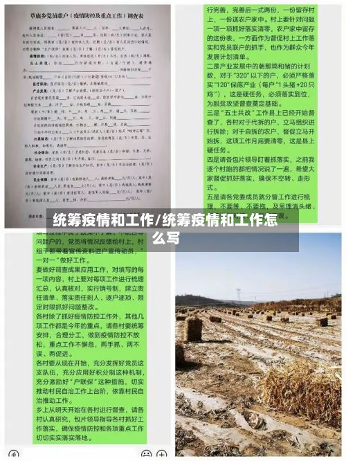 统筹疫情和工作/统筹疫情和工作怎么写-第2张图片