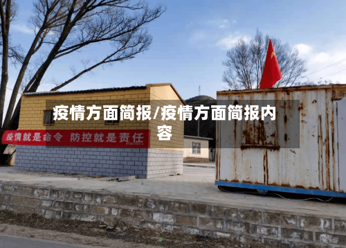 疫情方面简报/疫情方面简报内容