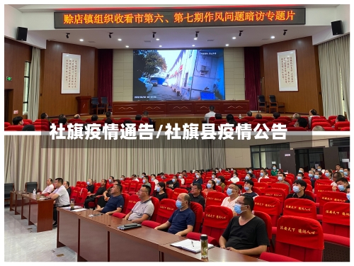 社旗疫情通告/社旗县疫情公告-第3张图片