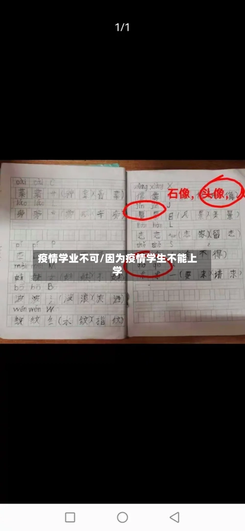 疫情学业不可/因为疫情学生不能上学-第3张图片