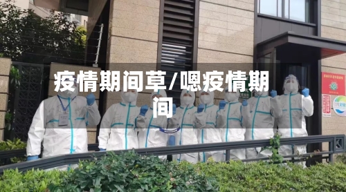 疫情期间草/嗯疫情期间-第2张图片