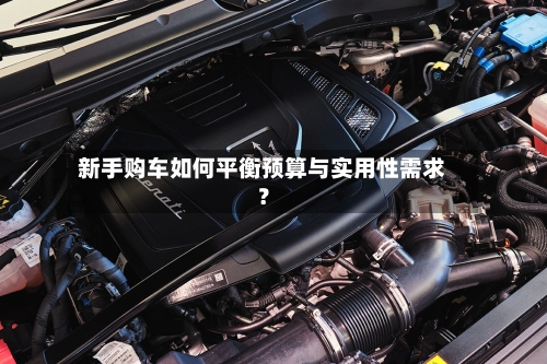 新手购车如何平衡预算与实用性需求？-第2张图片