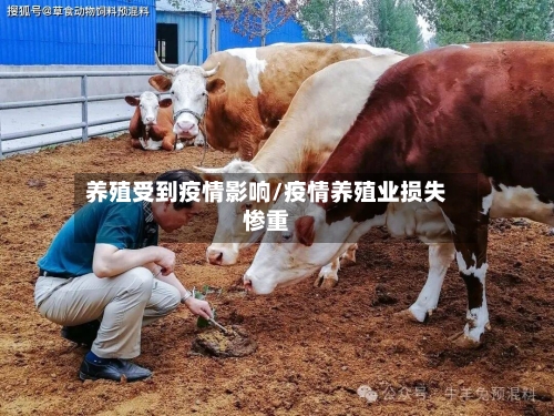 养殖受到疫情影响/疫情养殖业损失惨重