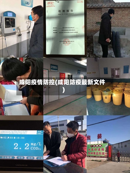 咸阳疫情防控(咸阳防疫最新文件)