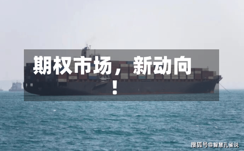 期权市场，新动向！-第3张图片